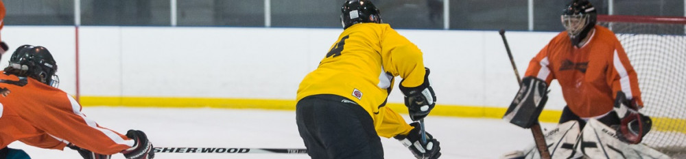 Player shooting on goalie